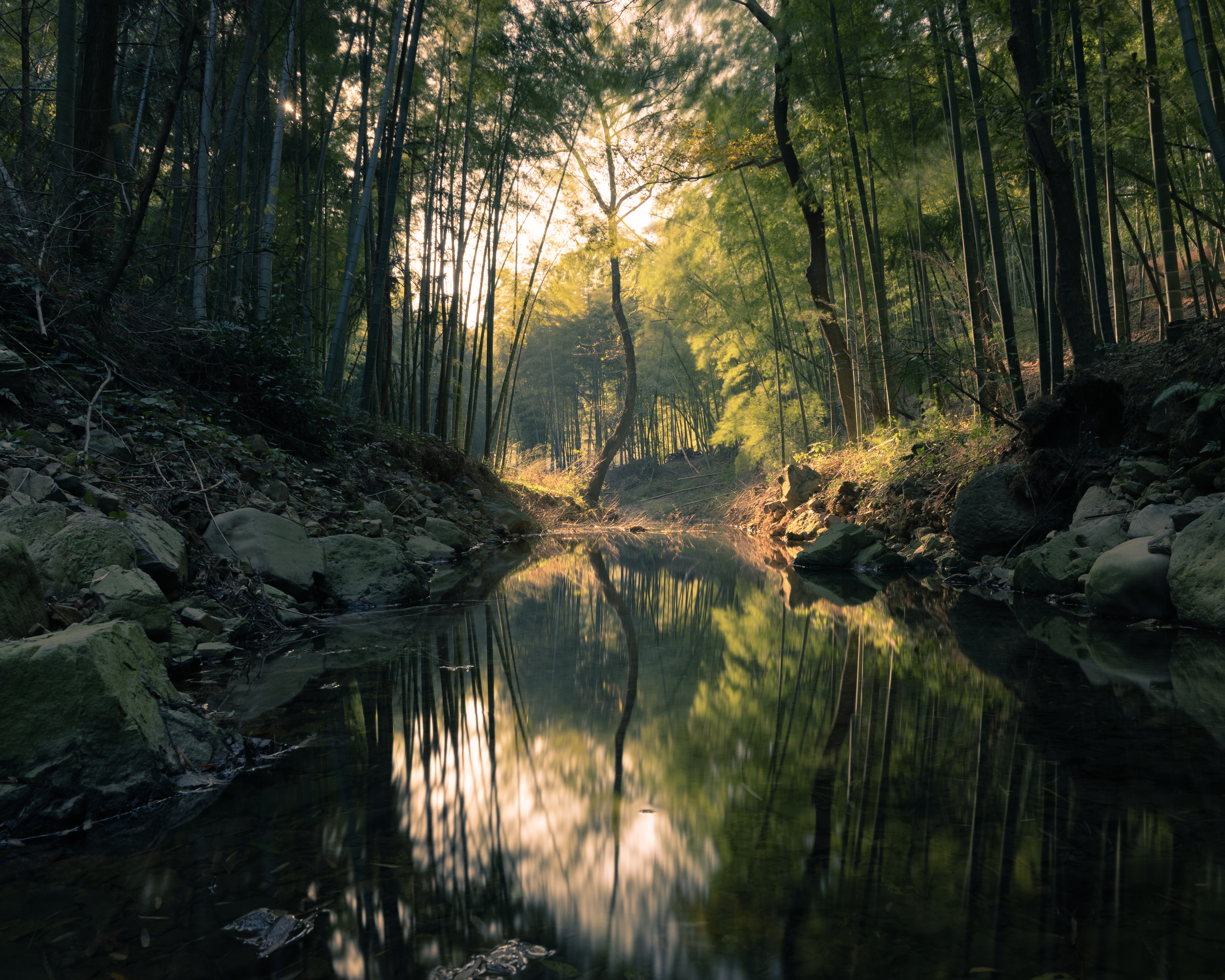 Down the Brook